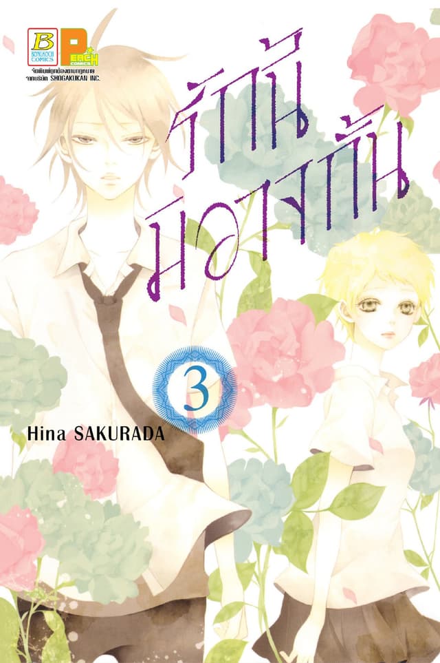 รักนี้มิอาจกั้น 3