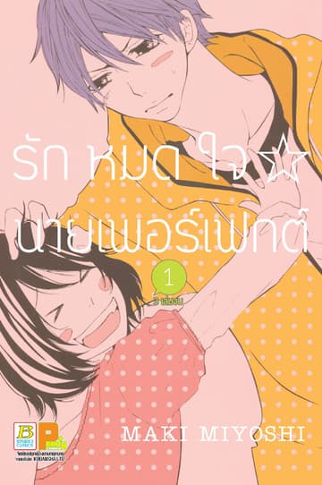 รักหมดใจ นายเพอร์เฟกต์ 1