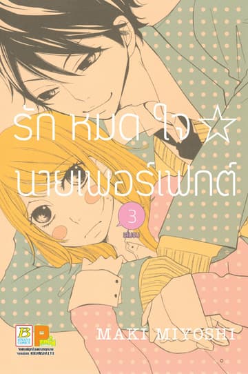 รักหมดใจ นายเพอร์เฟกต์ 3 (เล่มจบ)