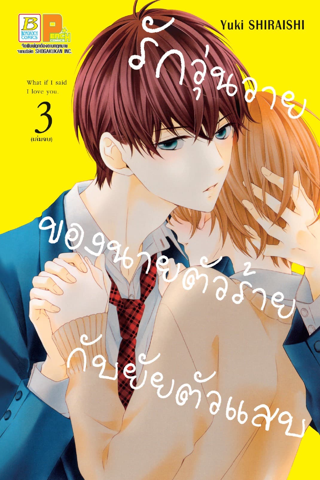 รักวุ่นวายของนายตัวร้ายกับยัยตัวแสบ 3 (เล่มจบ)