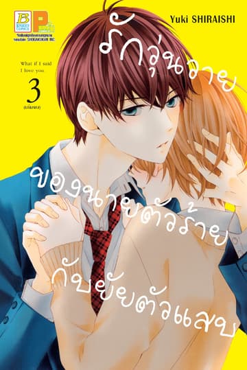 รักวุ่นวายของนายตัวร้ายกับยัยตัวแสบ 3 (เล่มจบ)
