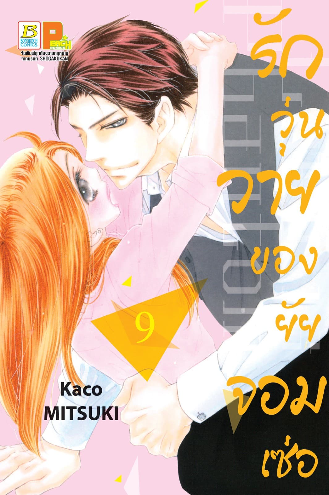รักวุ่นวายของยัยจอมเซ่อ LOVE IS PHANTOM 9