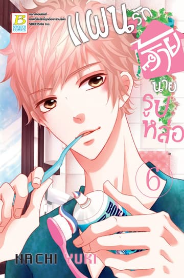 แผนรักร้ายนายรูปหล่อ 6