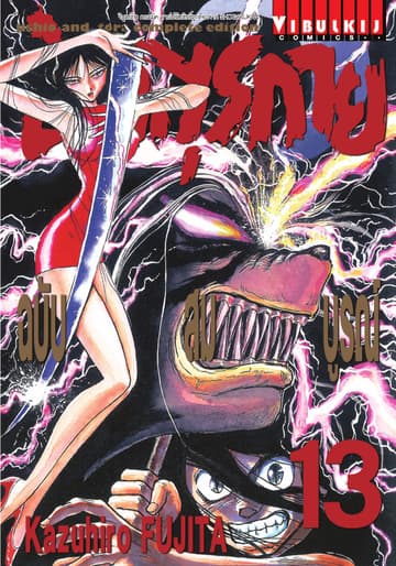 ล่าอสุรกาย ฉบับสมบูรณ์ เล่ม 13