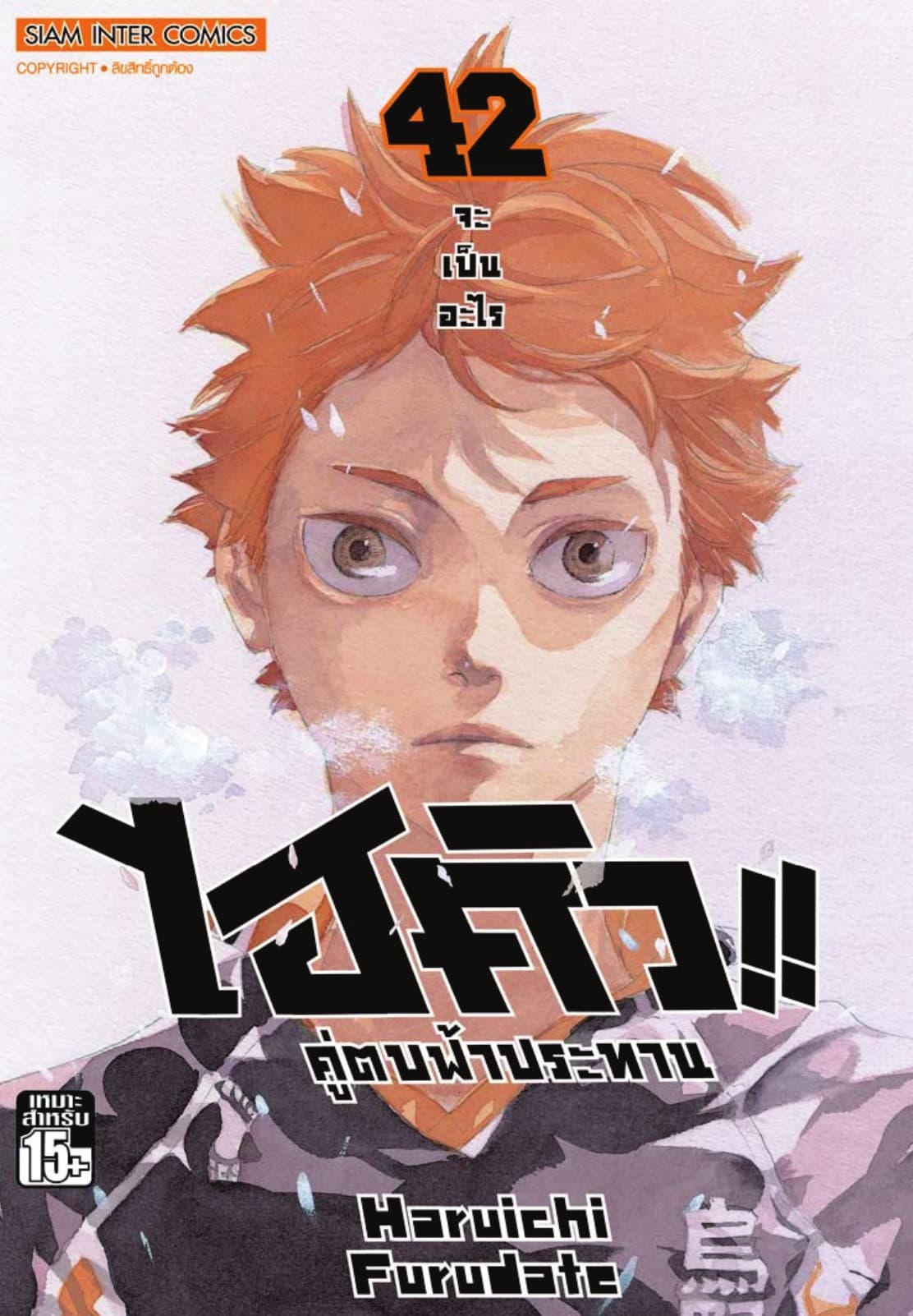 ไฮคิว!! คู่ตบฟ้าประทาน เล่ม 42 - จะเป็นอะไร