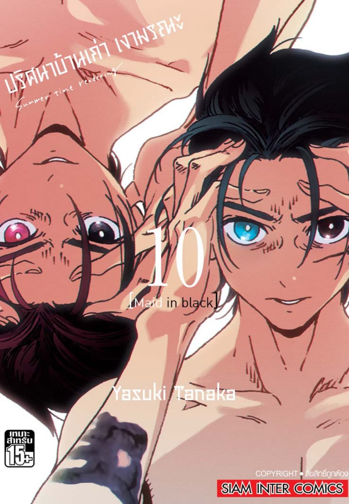 ปริศนาบ้านเก่า เงามรณะ เล่ม 10 Maid in black