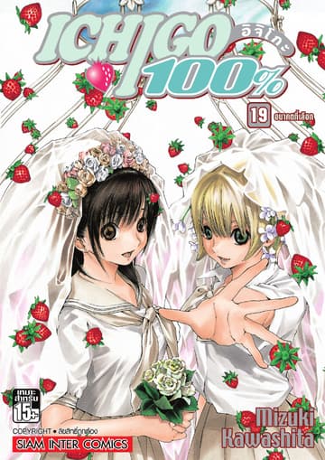 Ichigo อิจิโกะ 100% เล่ม 19 - อนาคตที่เลือก