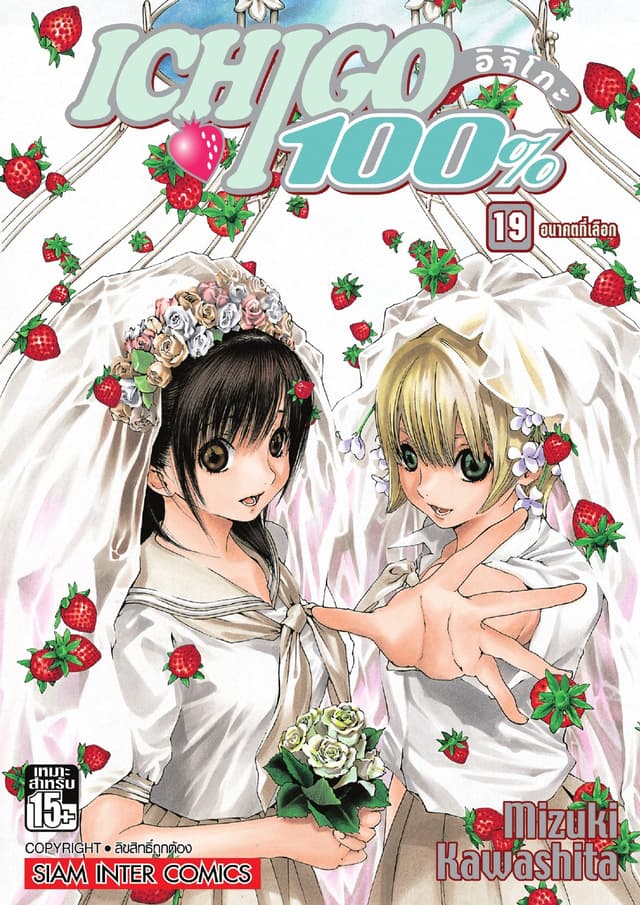 Ichigo อิจิโกะ 100% เล่ม 19 - อนาคตที่เลือก