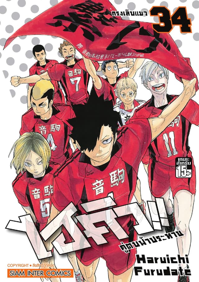 ไฮคิว!! คู่ตบฟ้าประทาน เล่ม 34 - กรงเล็บแมว