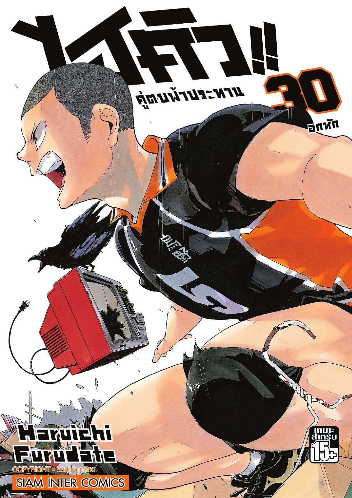 ไฮคิว!! คู่ตบฟ้าประทาน เล่ม 30 - อกหัก
