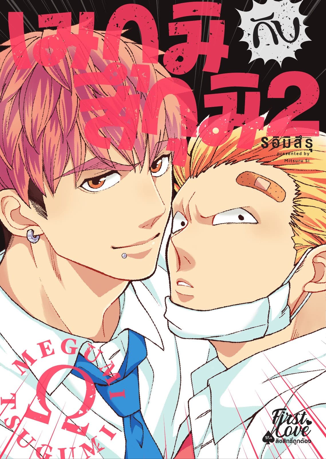 เมกุมิกับสึกุมิ Volume 2