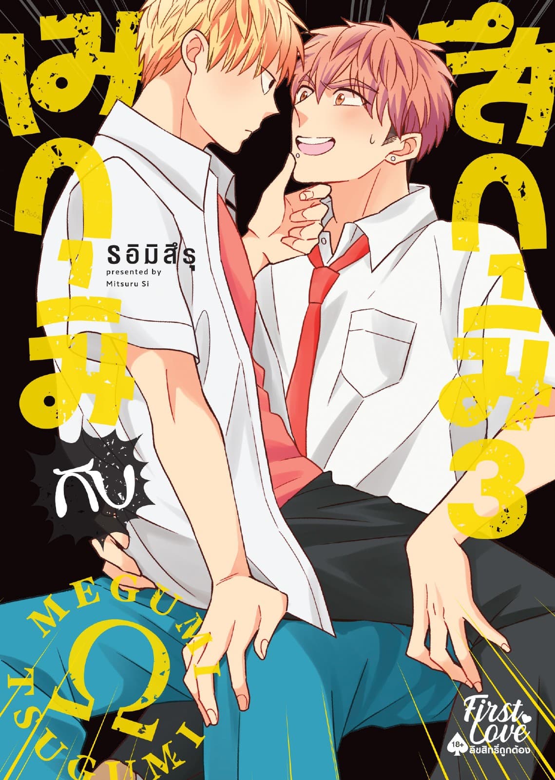 เมกุมิกับสึกุมิ Volume 3