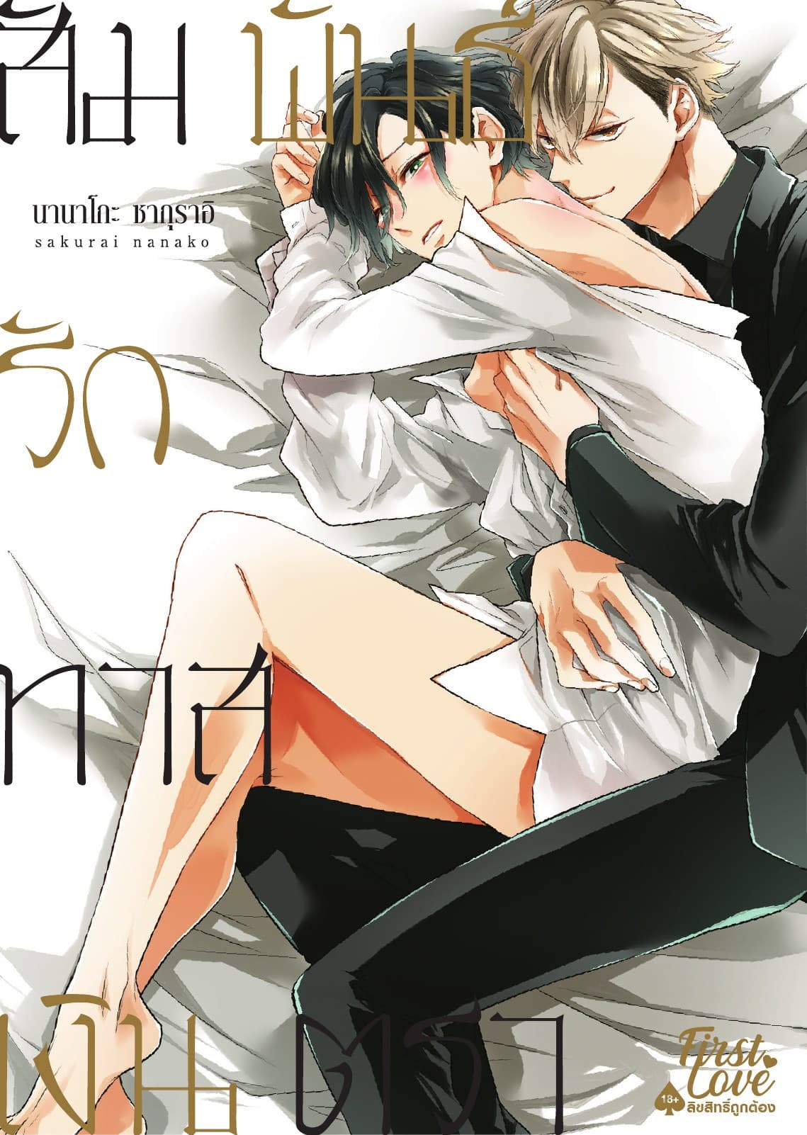 สัมพันธ์รักทาสเงินตรา, Volume 1