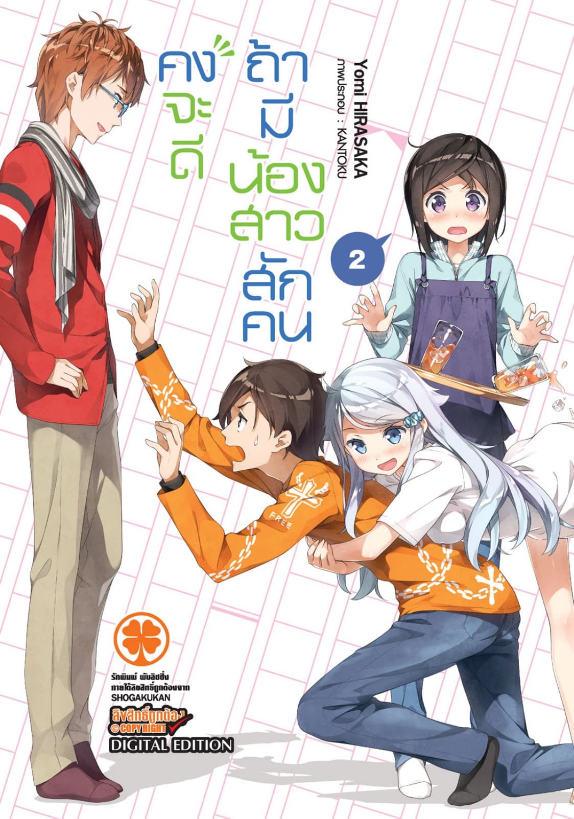 คงจะดีถ้ามีน้องสาวสักคน เล่ม 02 (นิยาย)