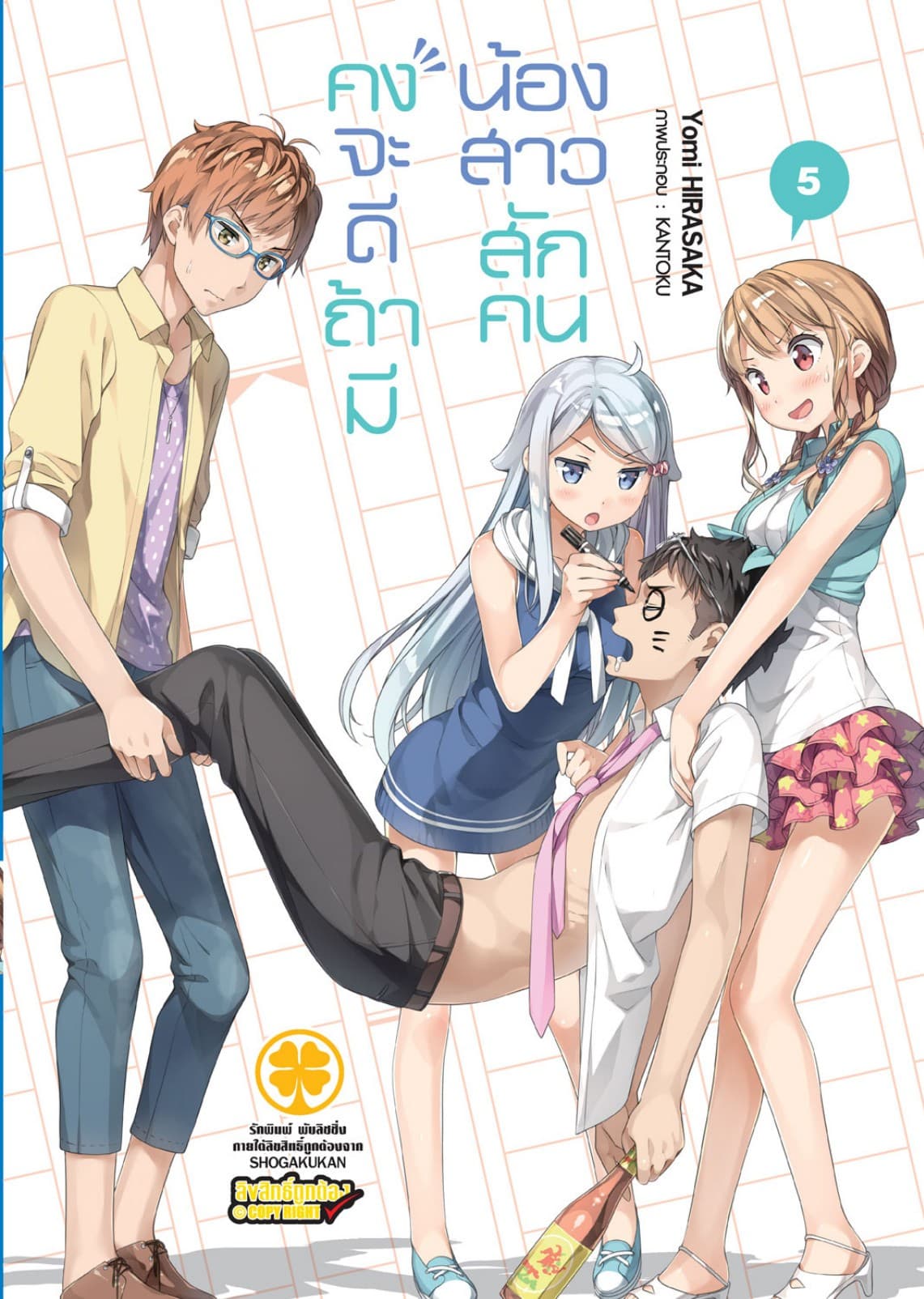 คงจะดีถ้ามีน้องสาวสักคน เล่ม 05 (นิยาย)