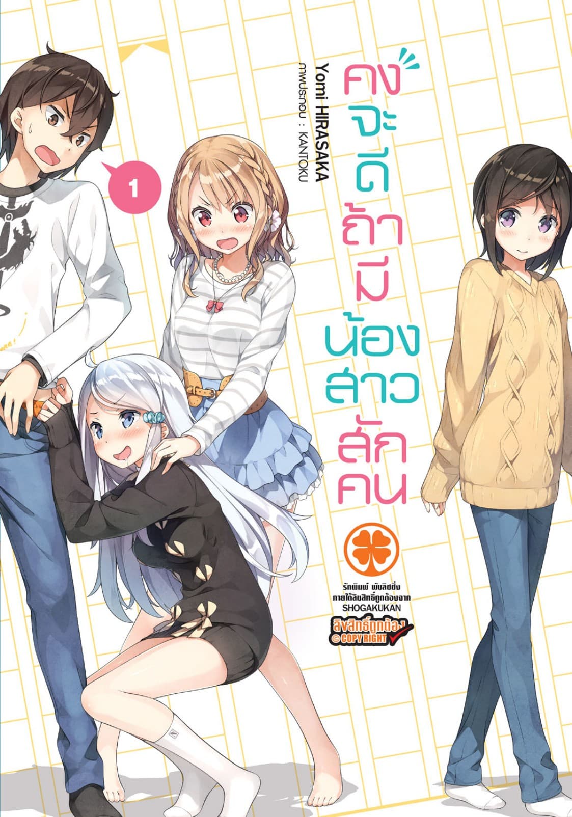 คงจะดีถ้ามีน้องสาวสักคน เล่ม 01 (นิยาย)