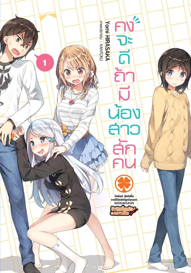 คงจะดีถ้ามีน้องสาวสักคน เล่ม 01 (นิยาย)