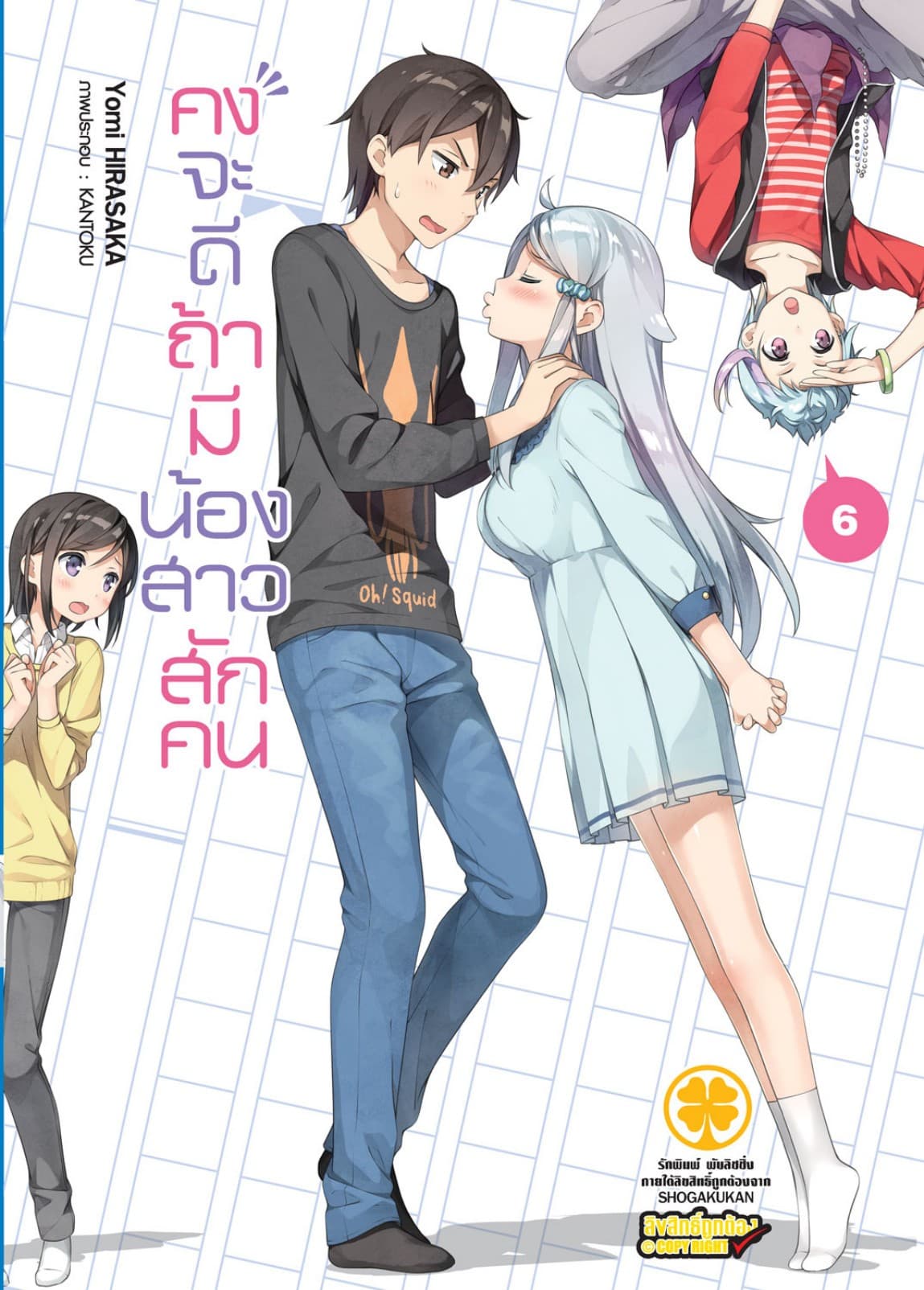 คงจะดีถ้ามีน้องสาวสักคน เล่ม 06 (นิยาย)