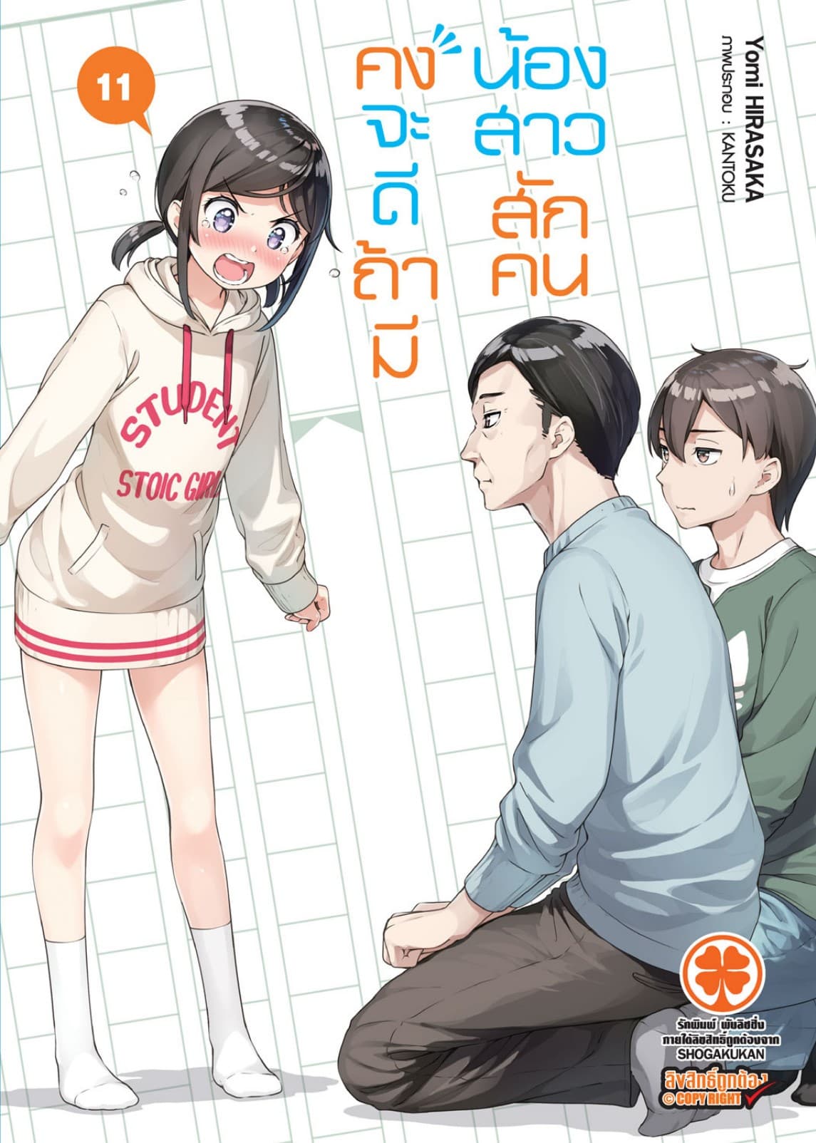 คงจะดีถ้ามีน้องสาวสักคน เล่ม 11 (นิยาย)