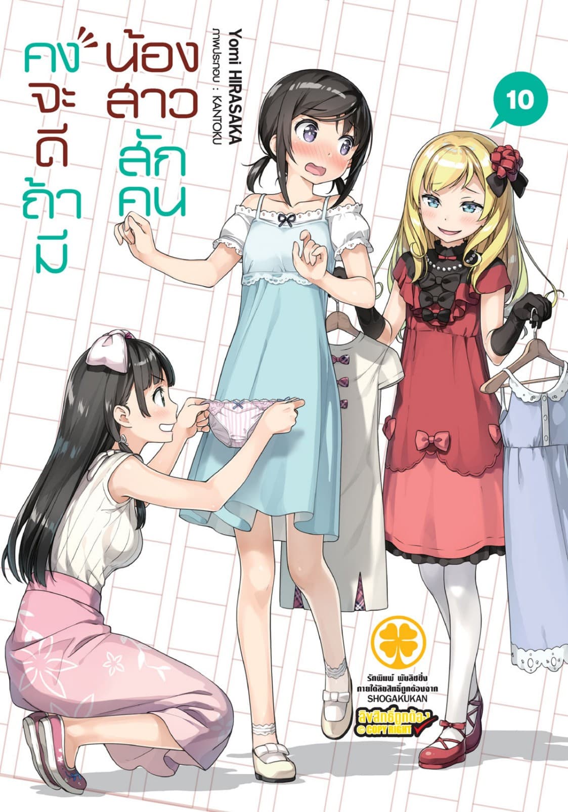 คงจะดีถ้ามีน้องสาวสักคน เล่ม 10 (นิยาย)