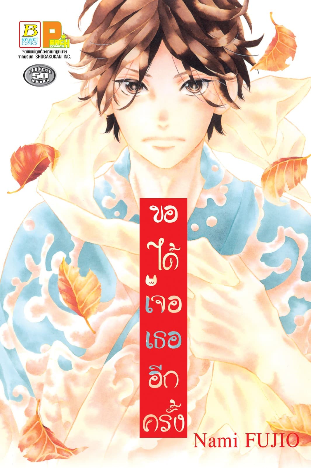 ขอได้เจอเธออีกครั้ง (เล่มเดียวจบ)