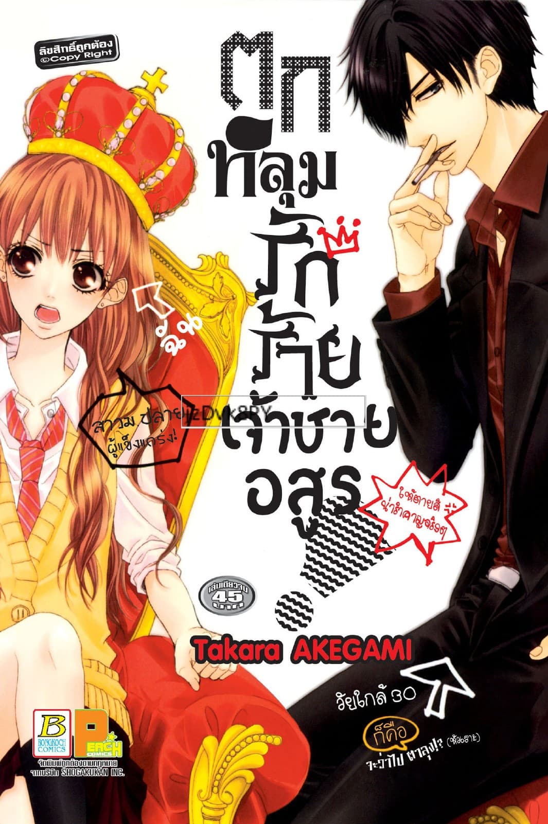 ตกหลุมรักร้ายเจ้าชายอสูร! (เล่มเดียวจบ)