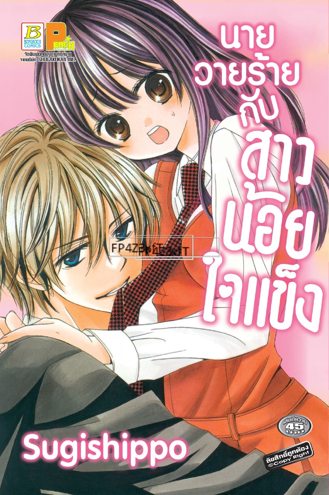 นายวายร้ายกับสาวน้อยใจแข็ง (เล่มเดียวจบ)