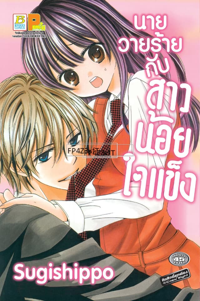 นายวายร้ายกับสาวน้อยใจแข็ง (เล่มเดียวจบ)