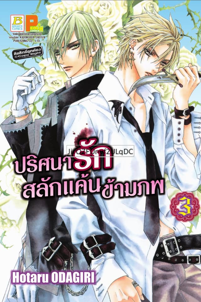 ปริศนารัก สลักแค้นข้ามภพ 3