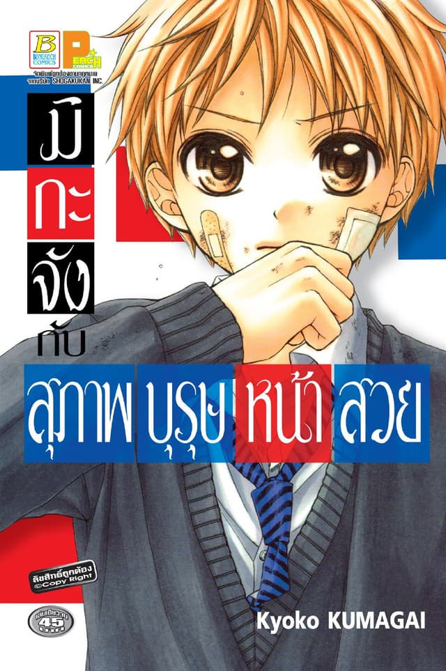 มิกะจังกับสุภาพบุรุษหน้าสวย (เล่มเดียวจบ)