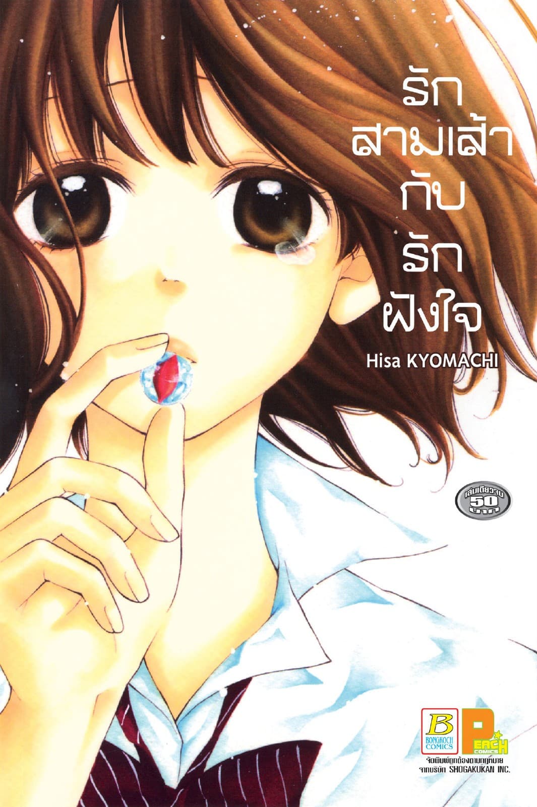 รักสามเส้ากับรักฝังใจ (เล่มเดียวจบ)