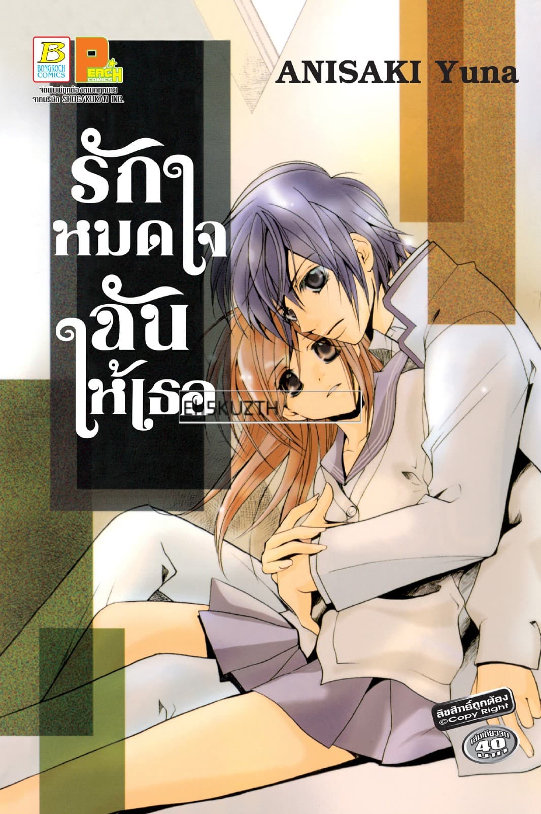 รักหมดใจ ฉันให้เธอ (เล่มเดียวจบ)