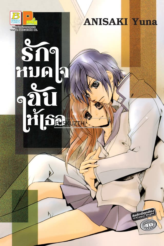 รักหมดใจ ฉันให้เธอ (เล่มเดียวจบ)