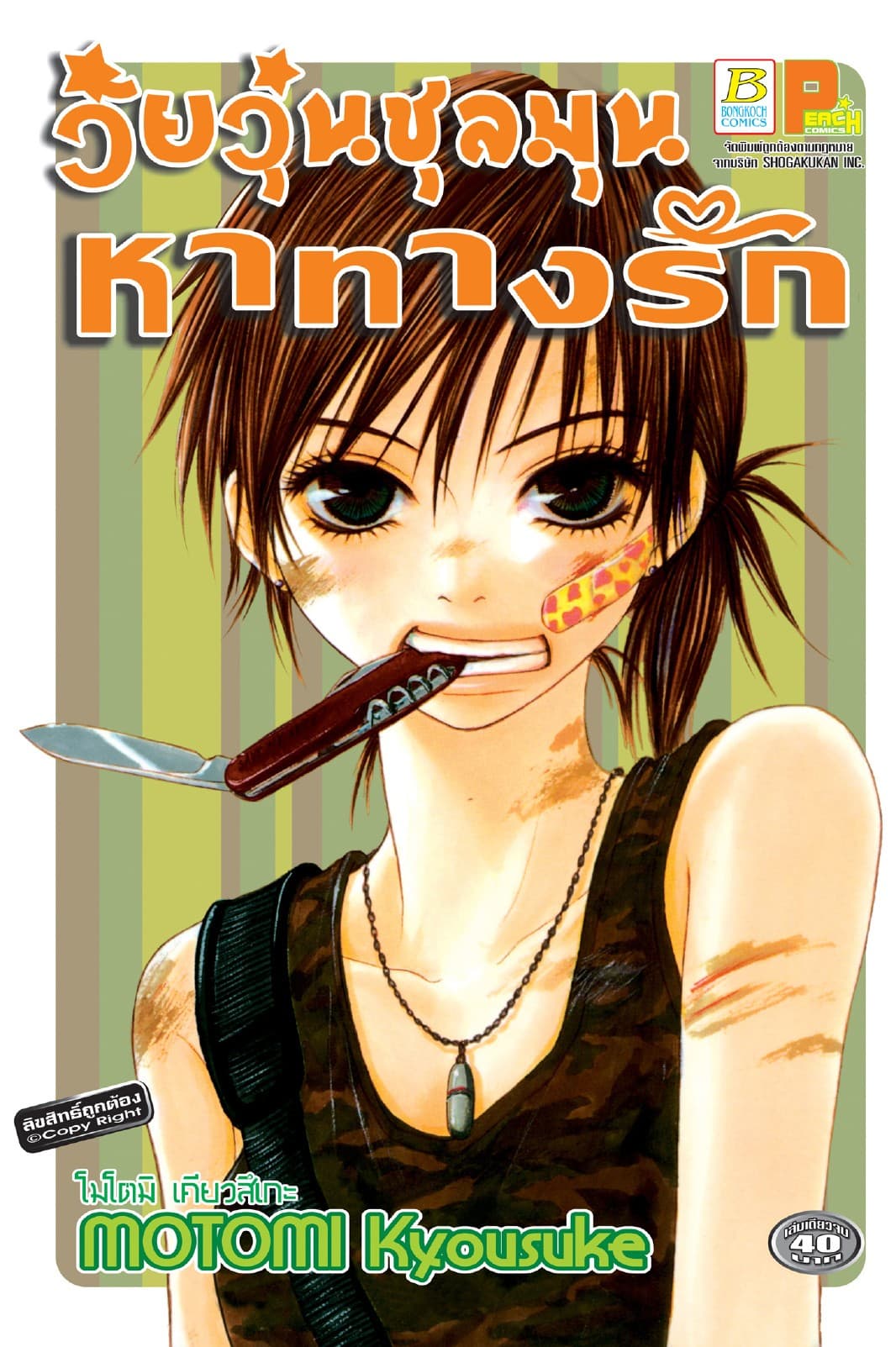 วัยวุ่นชุลมุนหาทางรัก (เล่มเดียวจบ)