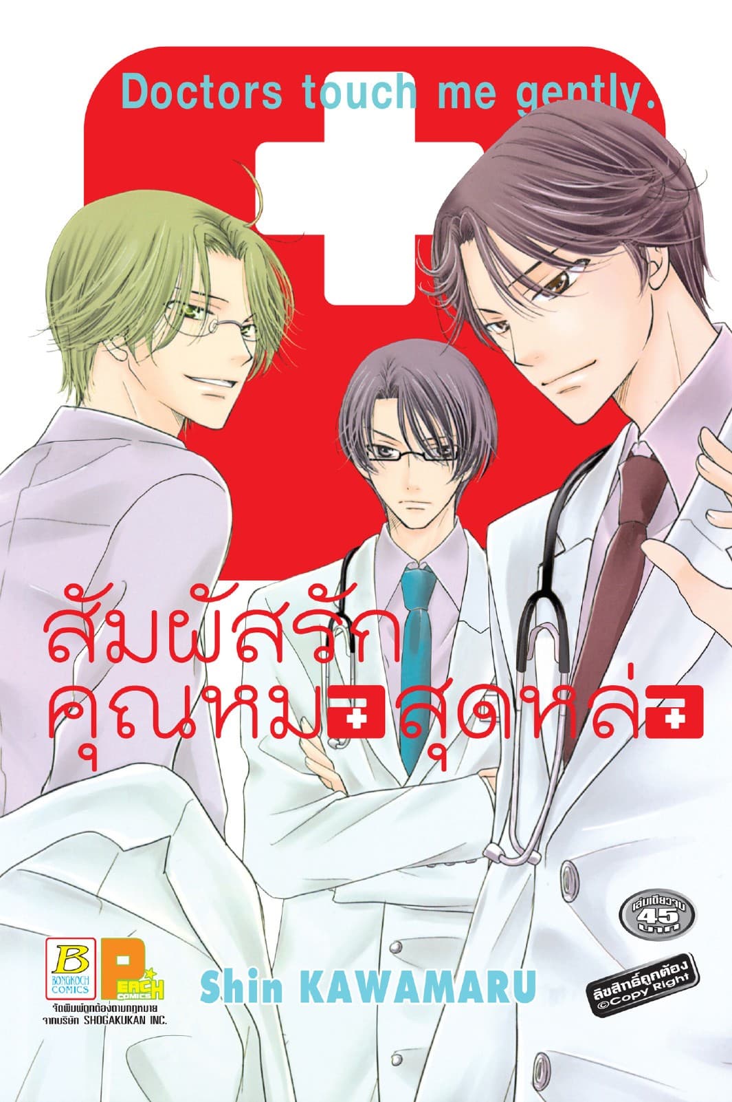 สัมผัสรักคุณหมอสุดหล่อ (เล่มเดียวจบ)
