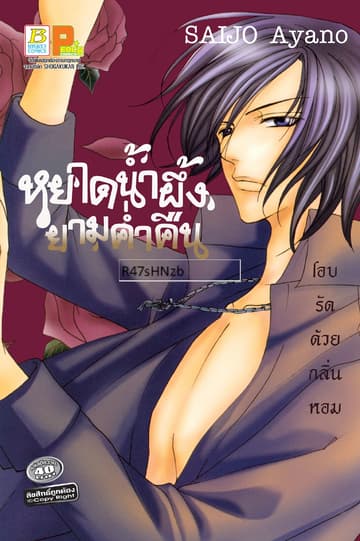 หยาดน้ำผึ้งยามค่ำคืน (เล่มเดียวจบ)
