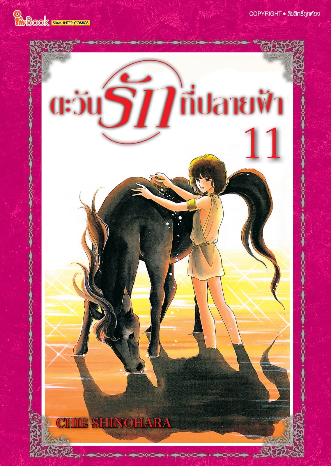 ตะวันรักที่ปลายฟ้า เล่ม 11