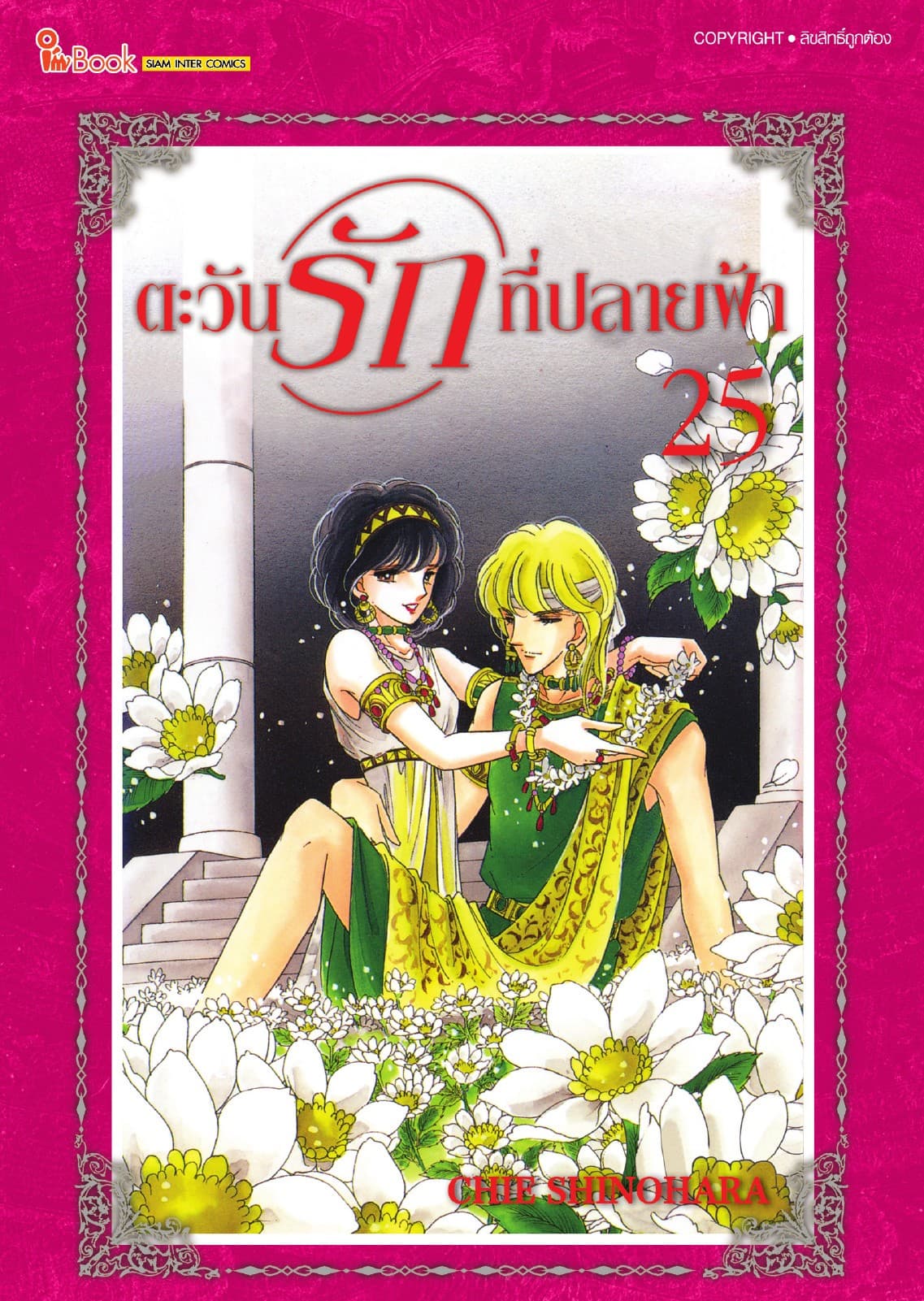 ตะวันรักที่ปลายฟ้า เล่ม 25