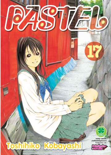 Pastel 17