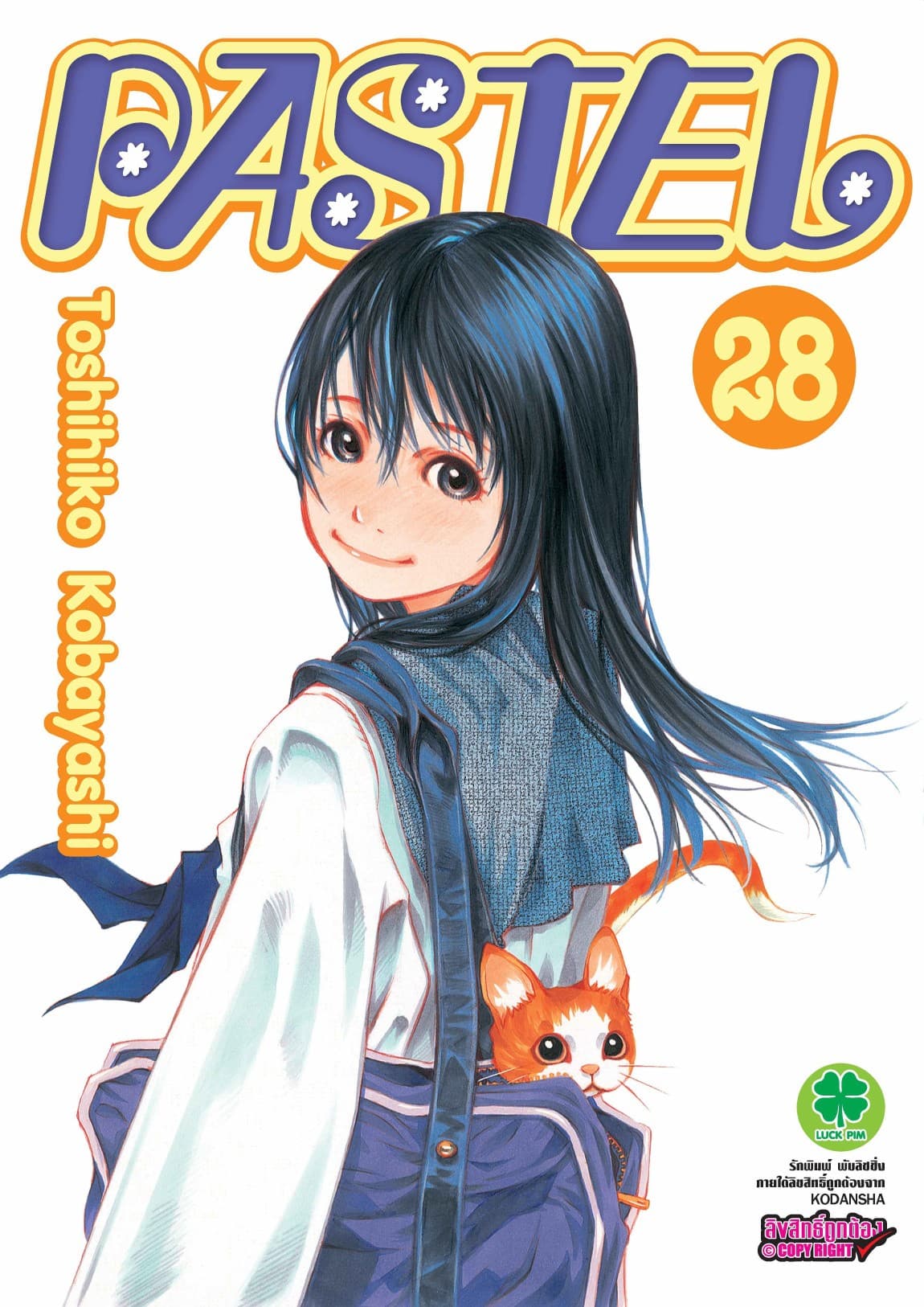 Pastel 28