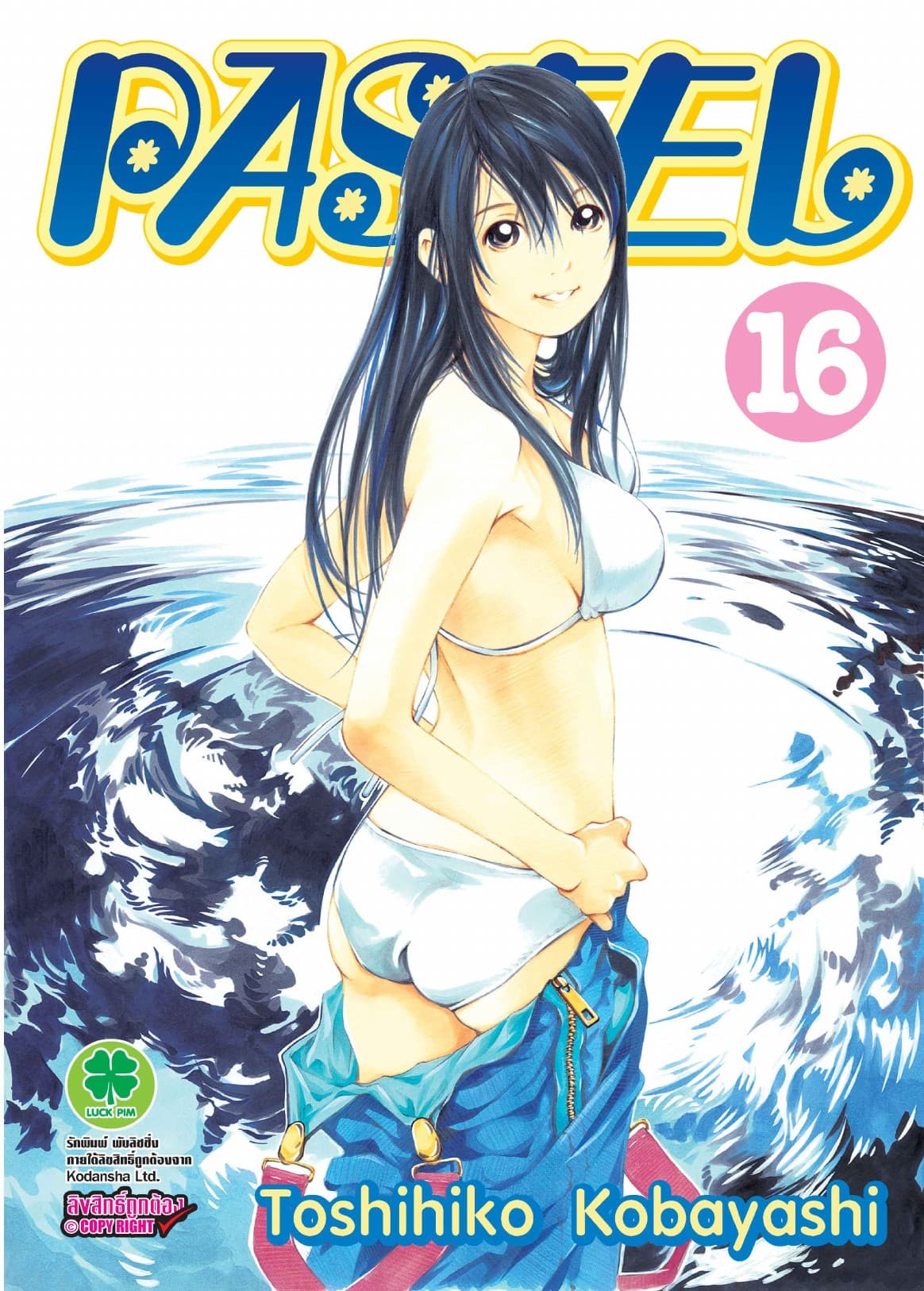 Pastel 16