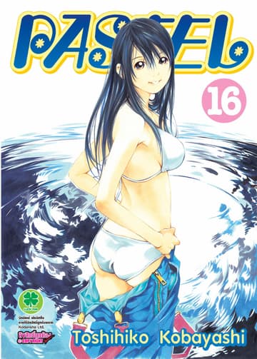 Pastel 16