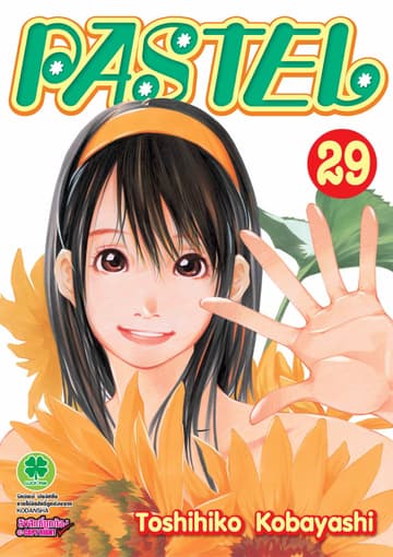 Pastel 29