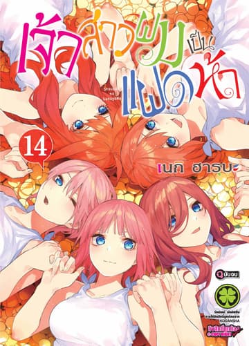 เจ้าสาวผมเป็นแฝดห้า 14