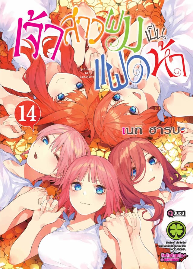 เจ้าสาวผมเป็นแฝดห้า 14