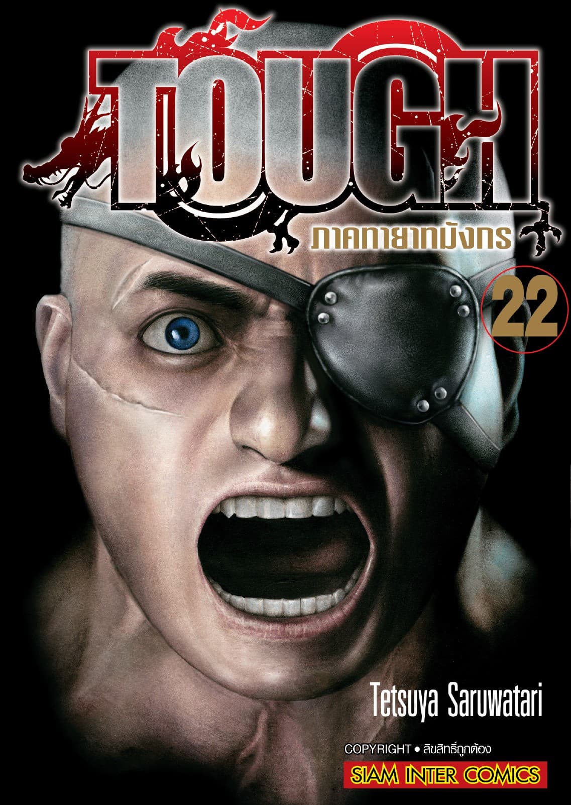 TOUGH ภาค ทายาทมังกร เล่ม 22
