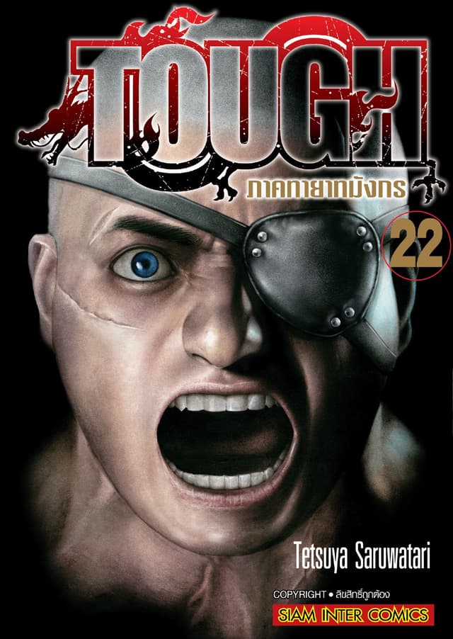 TOUGH ภาค ทายาทมังกร เล่ม 22