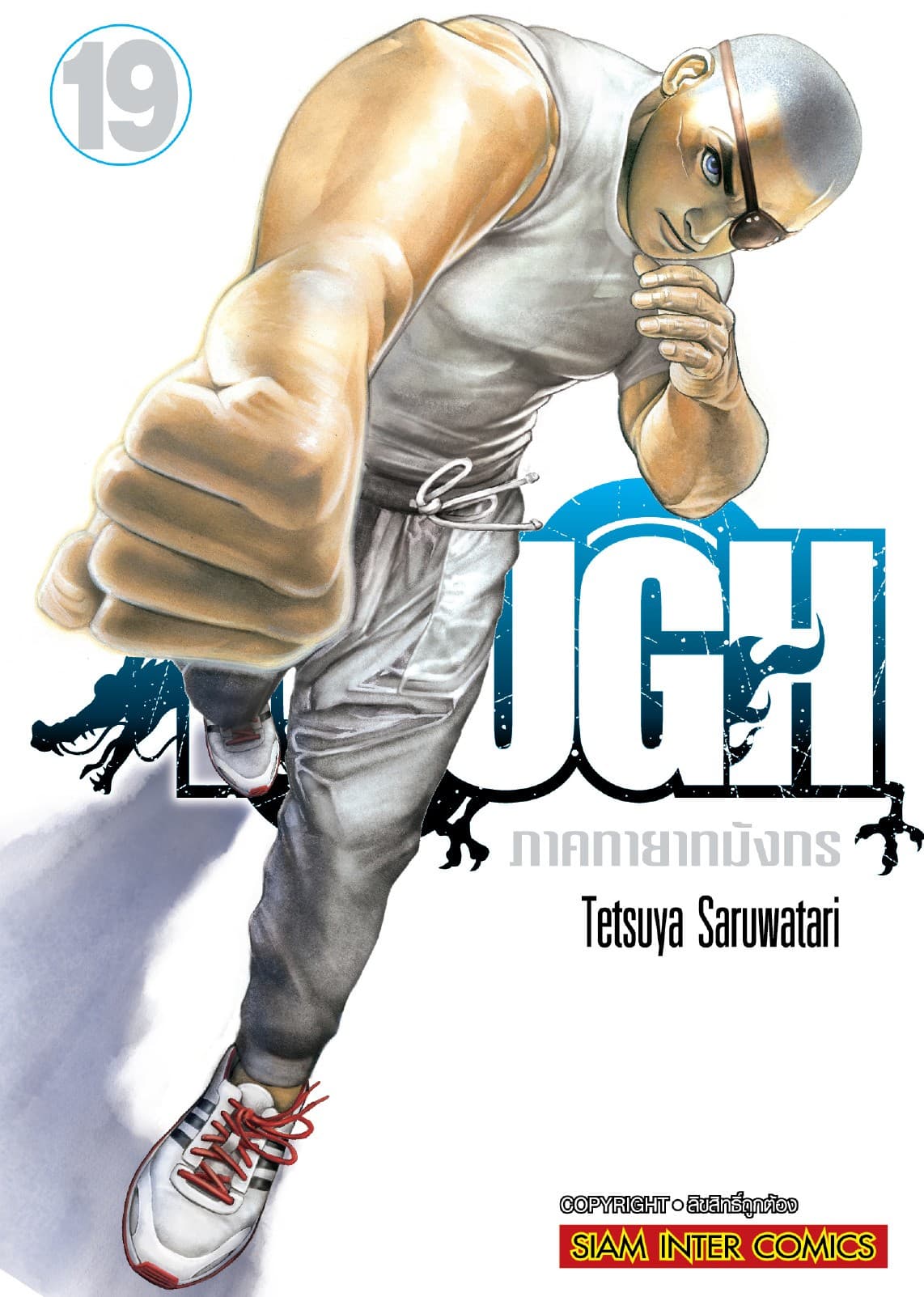 TOUGH ภาค ทายาทมังกร เล่ม 19