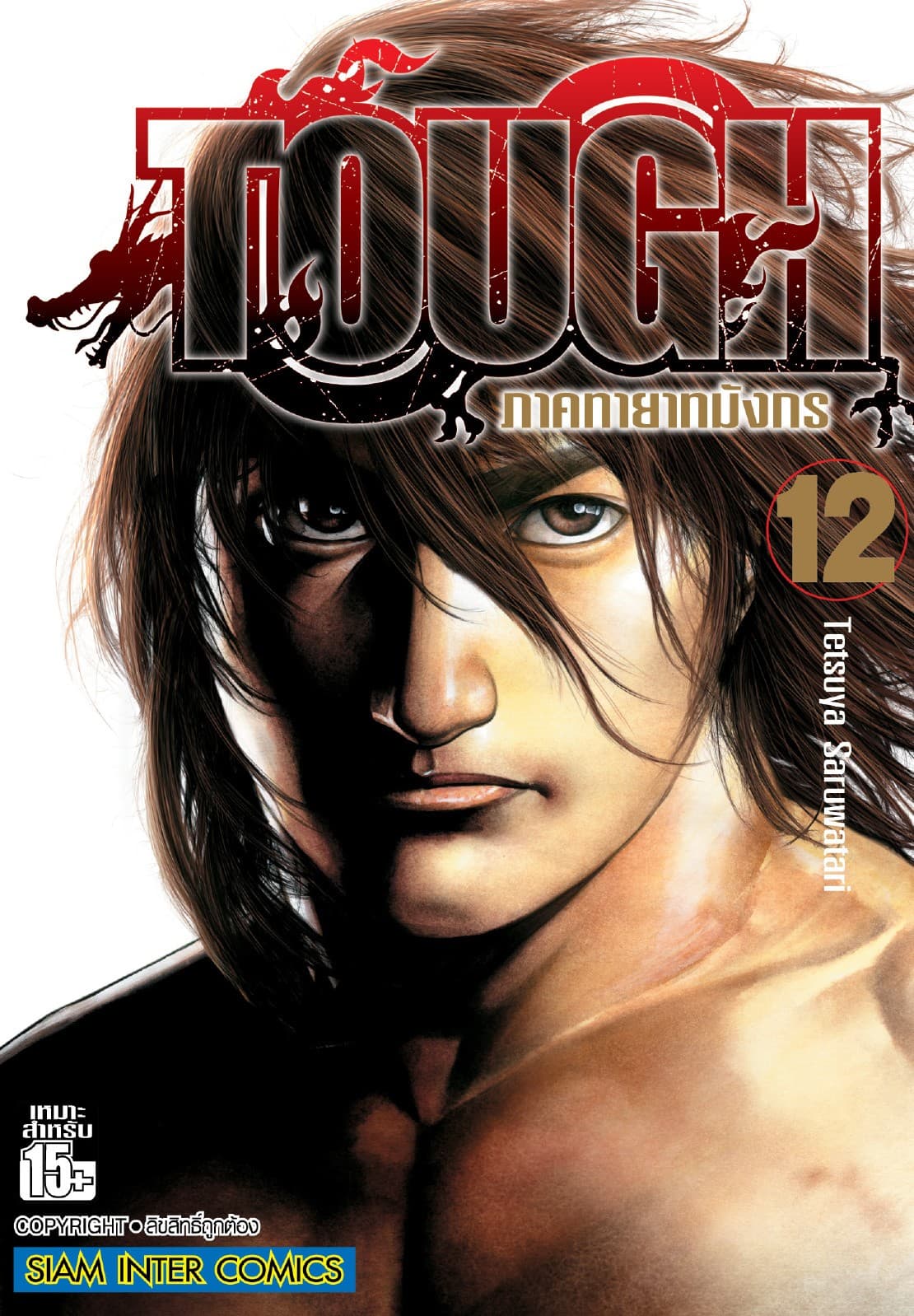 TOUGH ภาค ทายาทมังกร เล่ม 12
