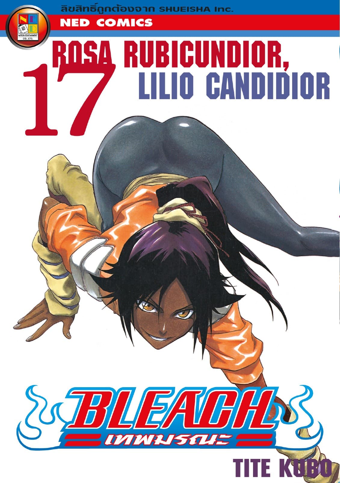 Bleach เทพมรณะ เล่ม 17
